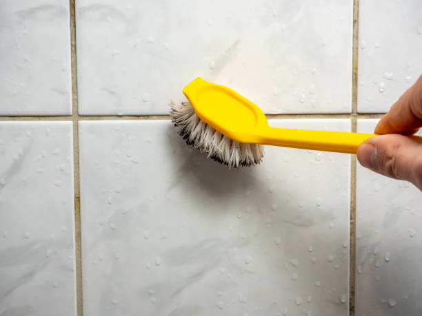Best Toxic Mold Removal  in Jackson, LA